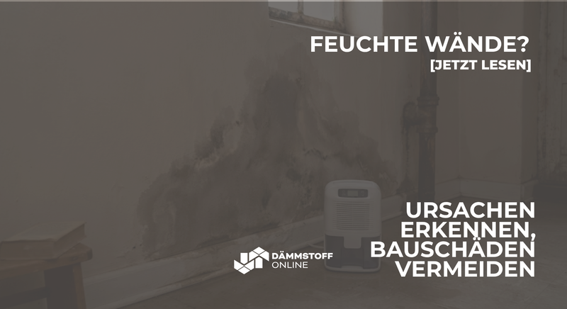 Feuchte Wände: Ursachen erkennen, Bauschäden vermeiden